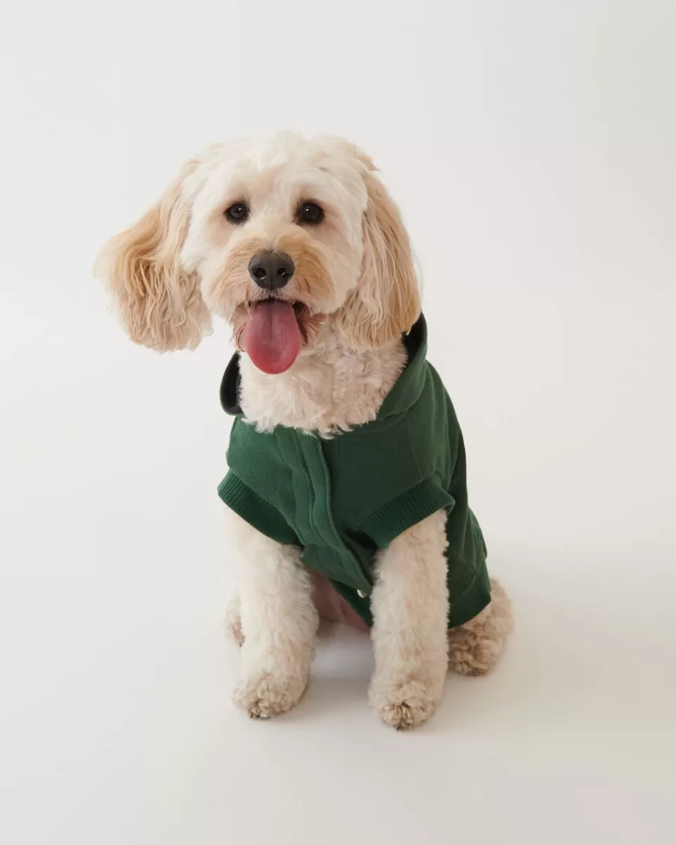 Roots Pooch Original Kanga Size 10-14 PARK GREEN Shop